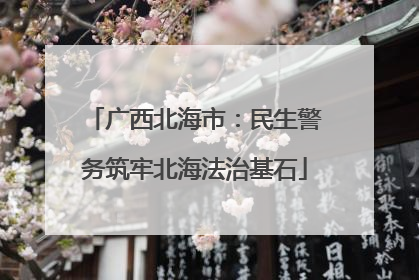 广西北海市：民生警务筑牢北海法治基石