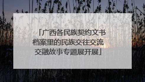 广西各民族契约文书档案里的民族交往交流交融故事专题展开展