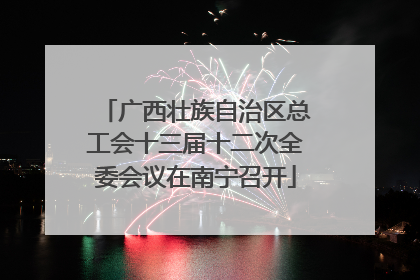 广西壮族自治区总工会十三届十二次全委会议在南宁召开