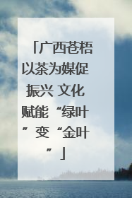 广西苍梧以茶为媒促振兴 文化赋能“绿叶”变“金叶”