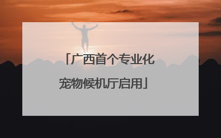 广西首个专业化宠物候机厅启用