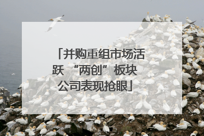 并购重组市场活跃 “两创”板块公司表现抢眼