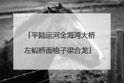 平陆运河金海湾大桥左幅桥面格子梁合龙