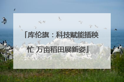 库伦旗：科技赋能插秧忙 万亩稻田展新姿
