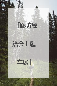 廊坊经洽会上逛车展
