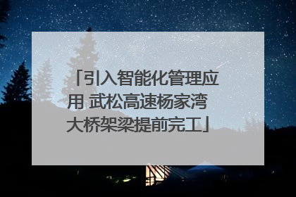引入智能化管理应用 武松高速杨家湾大桥架梁提前完工
