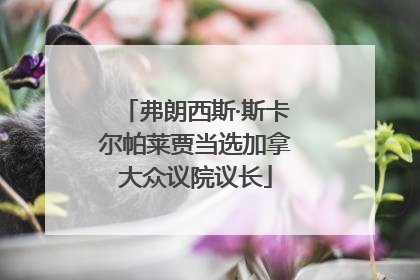 弗朗西斯·斯卡尔帕莱贾当选加拿大众议院议长