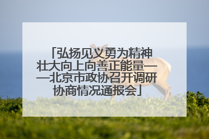 弘扬见义勇为精神 壮大向上向善正能量——北京市政协召开调研协商情况通报会