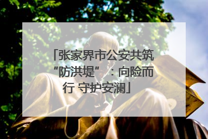 张家界市公安共筑“防洪堤”：向险而行 守护安澜