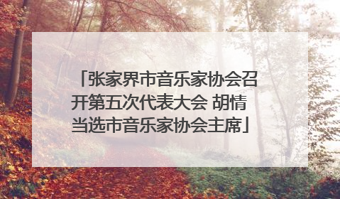 张家界市音乐家协会召开第五次代表大会 胡情当选市音乐家协会主席