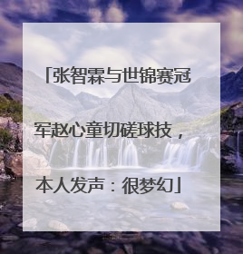 张智霖与世锦赛冠军赵心童切磋球技，本人发声：很梦幻