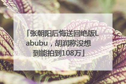 张朝阳后悔送回绝版Labubu，胡润称没想到能拍到108万