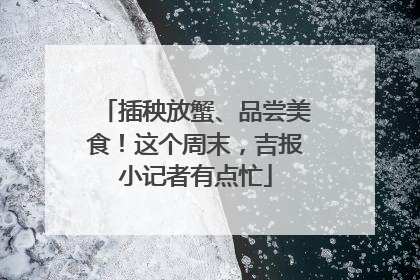 插秧放蟹、品尝美食！这个周末，吉报小记者有点忙