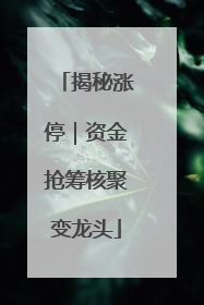 揭秘涨停｜资金抢筹核聚变龙头