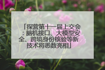 探营第十一届上交会：脑机接口、大模型安全、跨境身份核验等新技术将悉数亮相