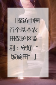 探访中国首个基本农田保护区监利：守好“饭碗田”