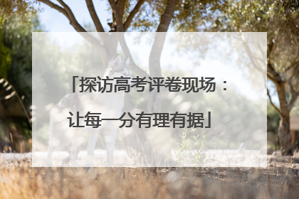 探访高考评卷现场：让每一分有理有据