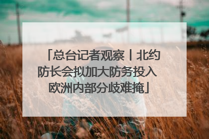总台记者观察丨北约防长会拟加大防务投入 欧洲内部分歧难掩