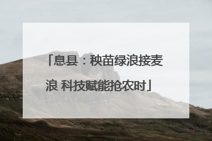 息县：秧苗绿浪接麦浪 科技赋能抢农时