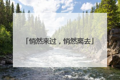 悄然来过，悄然离去
