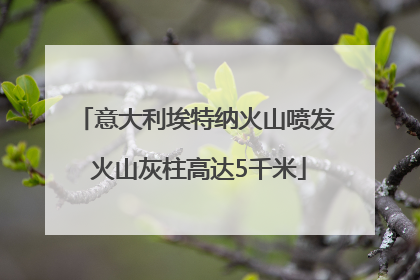 意大利埃特纳火山喷发 火山灰柱高达5千米