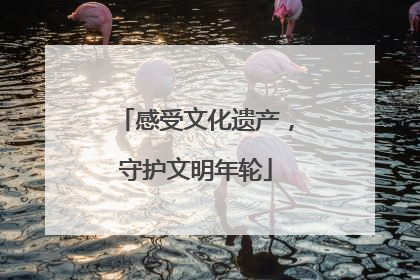 感受文化遗产，守护文明年轮