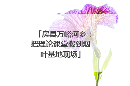 房县万峪河乡：把理论课堂搬到烟叶基地现场