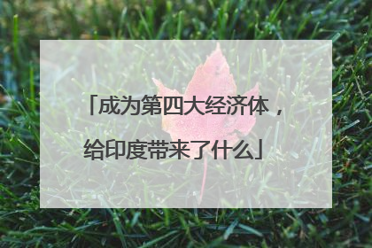 成为第四大经济体，给印度带来了什么