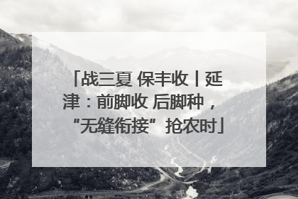 战三夏 保丰收丨延津：前脚收 后脚种，“无缝衔接”抢农时