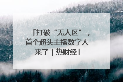 打破“无人区”，首个超头主播数字人来了｜热财经