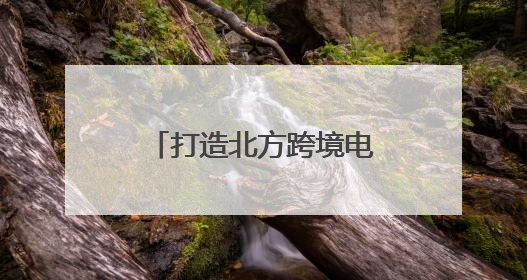 打造北方跨境电商产业生态中心