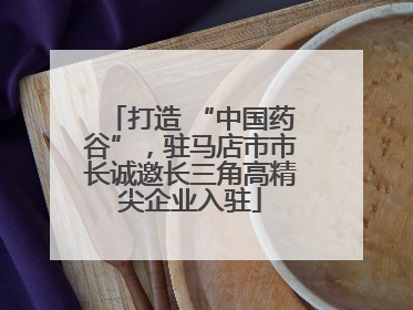 打造 “中国药谷”，驻马店市市长诚邀长三角高精尖企业入驻