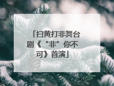 扫黄打非舞台剧《“非”你不可》首演