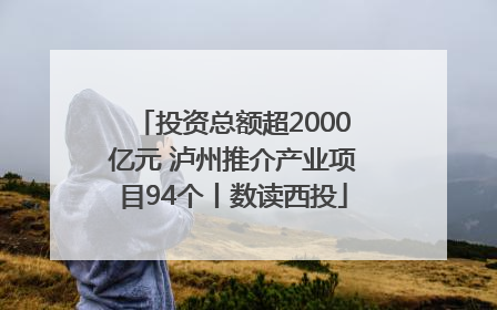 投资总额超2000亿元 泸州推介产业项目94个丨数读西投