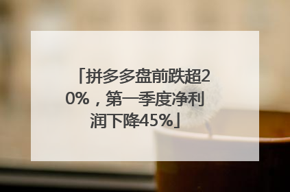 拼多多盘前跌超20%，第一季度净利润下降45%