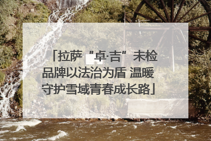 拉萨“卓·吉”未检品牌以法治为盾 温暖守护雪域青春成长路