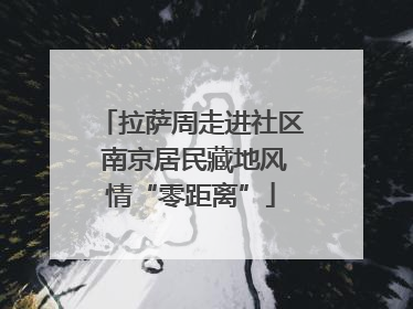 拉萨周走进社区 南京居民藏地风情“零距离”