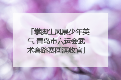 拳脚生风展少年英气 青岛市六运会武术套路赛圆满收官