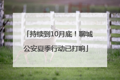 持续到10月底！聊城公安夏季行动已打响
