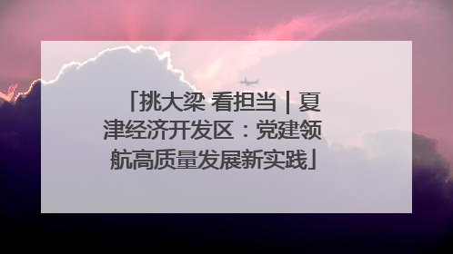 挑大梁 看担当｜夏津经济开发区：党建领航高质量发展新实践