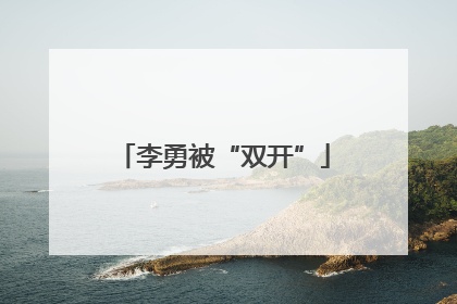 李勇被“双开”