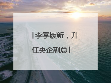 李季履新，升任央企副总