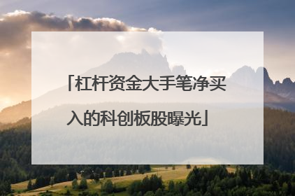 杠杆资金大手笔净买入的科创板股曝光