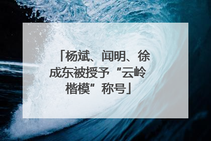 杨斌、闻明、徐成东被授予“云岭楷模”称号