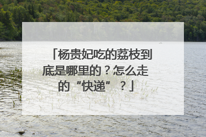 杨贵妃吃的荔枝到底是哪里的？怎么走的“快递”？