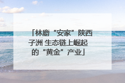 林麝“安家”陕西子洲 生态链上崛起的“黄金”产业