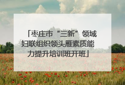 枣庄市“三新”领域妇联组织领头雁素质能力提升培训班开班