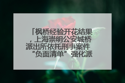 枫桥经验开花结果，上海崇明公安城桥派出所依托刑事案件“负面清单”强化派出所“主防”