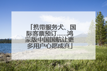 携带服务犬、国际客票预订……鸿蒙版中国国航让更多用户心愿成真