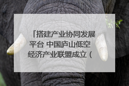 搭建产业协同发展平台 中国庐山低空经济产业联盟成立（组图｜视频）